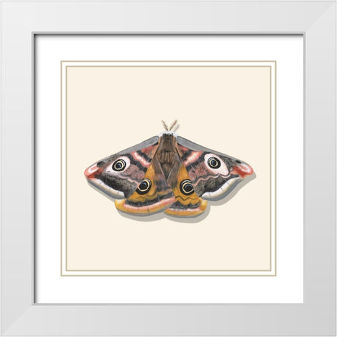 Watercolor Moths I White Modern Wood Framed Art Print with Double Matting by Willett, Michael