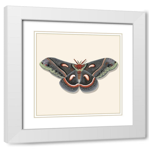 Watercolor Moths III White Modern Wood Framed Art Print with Double Matting by Willett, Michael
