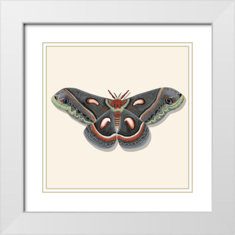 Watercolor Moths III White Modern Wood Framed Art Print with Double Matting by Willett, Michael