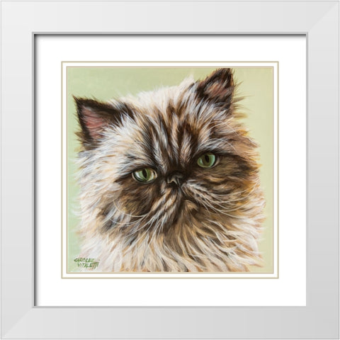 Persian Cat II White Modern Wood Framed Art Print with Double Matting by Vitaletti, Carolee