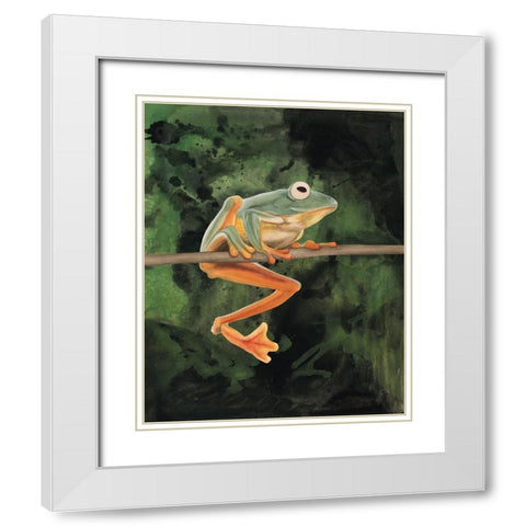 Watercolor Tree Frogs I White Modern Wood Framed Art Print with Double Matting by Willett, Michael