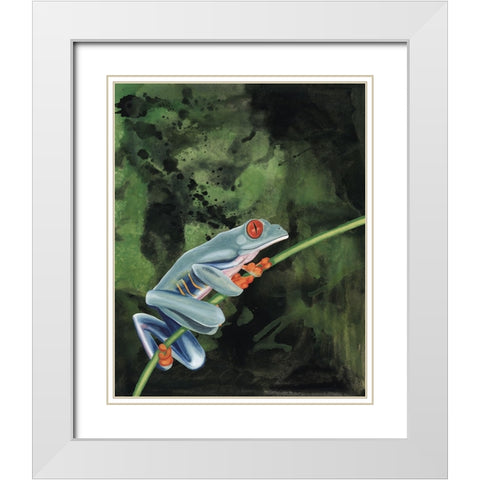 Watercolor Tree Frogs IV White Modern Wood Framed Art Print with Double Matting by Willett, Michael