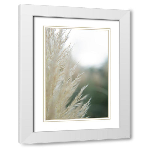 Subtle Grasses I White Modern Wood Framed Art Print with Double Matting by Johnson, Jason