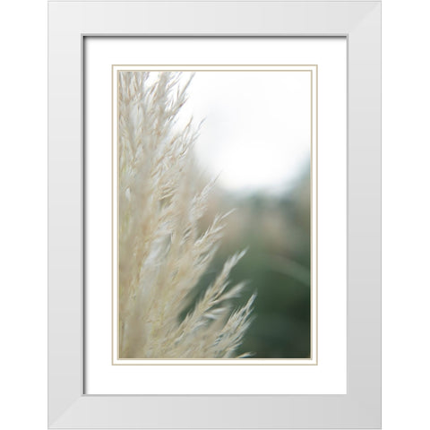 Subtle Grasses I White Modern Wood Framed Art Print with Double Matting by Johnson, Jason