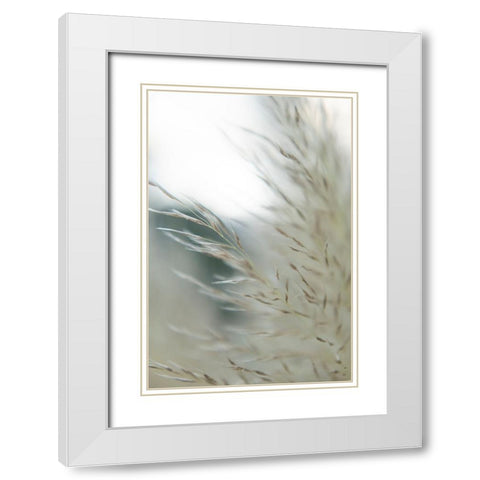 Subtle Grasses II White Modern Wood Framed Art Print with Double Matting by Johnson, Jason