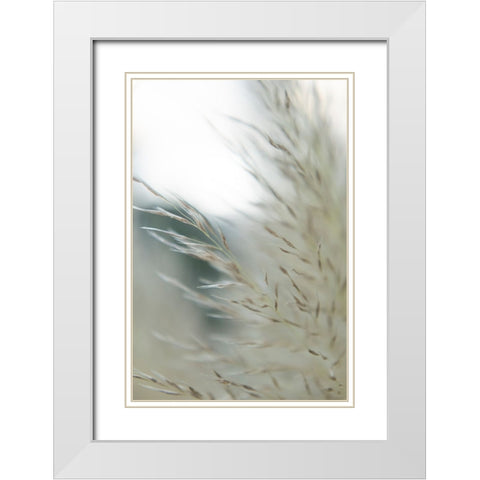 Subtle Grasses II White Modern Wood Framed Art Print with Double Matting by Johnson, Jason