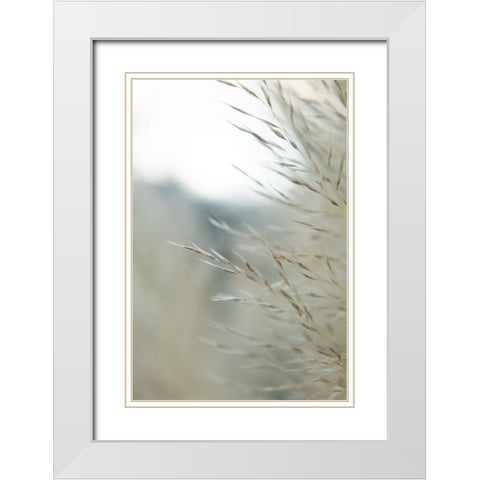 Subtle Grasses III White Modern Wood Framed Art Print with Double Matting by Johnson, Jason