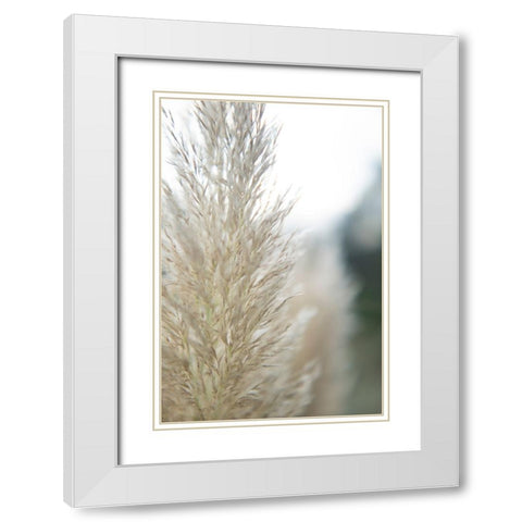 Subtle Grasses IV White Modern Wood Framed Art Print with Double Matting by Johnson, Jason