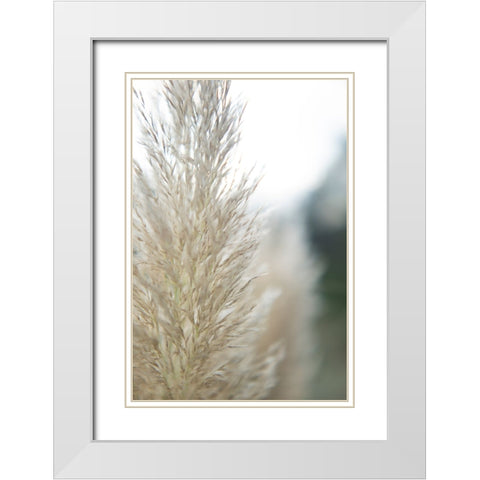 Subtle Grasses IV White Modern Wood Framed Art Print with Double Matting by Johnson, Jason