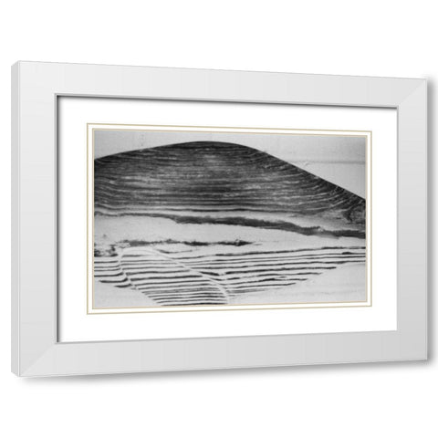 Found Textures III White Modern Wood Framed Art Print with Double Matting by Johnson, Jason