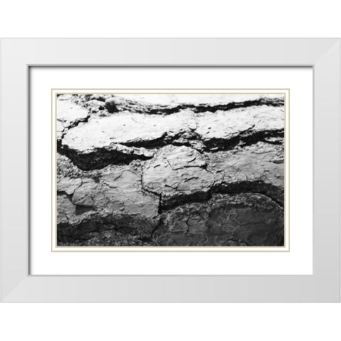 Found Textures IV White Modern Wood Framed Art Print with Double Matting by Johnson, Jason