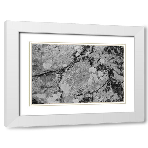 Found Textures XII White Modern Wood Framed Art Print with Double Matting by Johnson, Jason