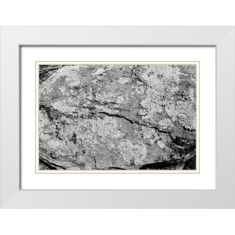 Found Textures XVI White Modern Wood Framed Art Print with Double Matting by Johnson, Jason