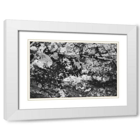 Found Textures XX White Modern Wood Framed Art Print with Double Matting by Johnson, Jason