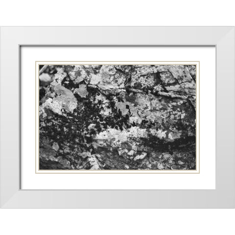 Found Textures XX White Modern Wood Framed Art Print with Double Matting by Johnson, Jason
