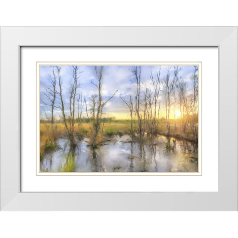 Sunrise Swamp White Modern Wood Framed Art Print with Double Matting by Curinga, Kim