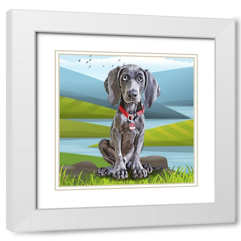 Baby Weimaraner White Modern Wood Framed Art Print with Double Matting by Curinga, Kim