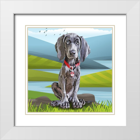 Baby Weimaraner White Modern Wood Framed Art Print with Double Matting by Curinga, Kim