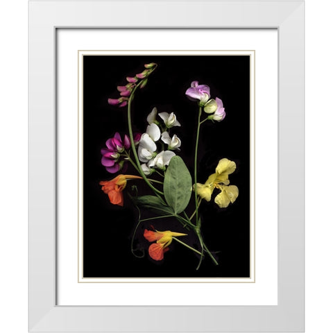 Flower Drama I White Modern Wood Framed Art Print with Double Matting by Stalus, Judy