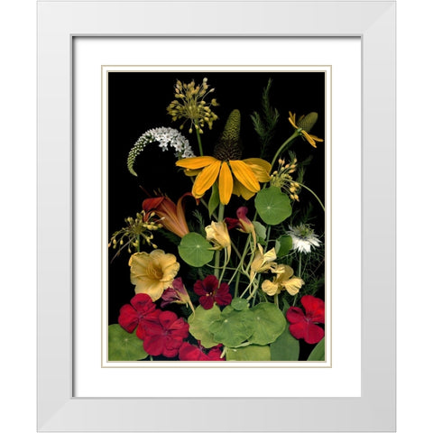 Flower Drama VII White Modern Wood Framed Art Print with Double Matting by Stalus, Judy