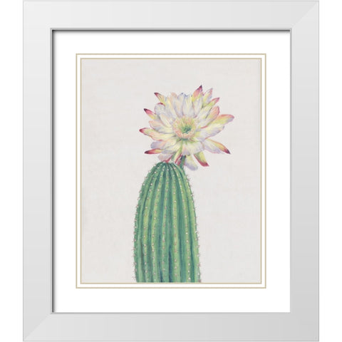 Cactus Blossom I White Modern Wood Framed Art Print with Double Matting by OToole, Tim