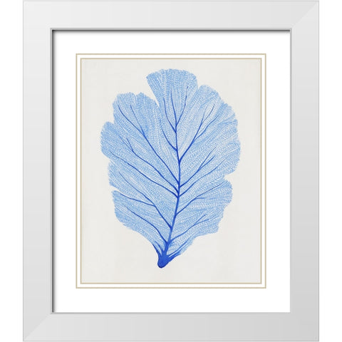 Indigo Sea Fan I White Modern Wood Framed Art Print with Double Matting by OToole, Tim