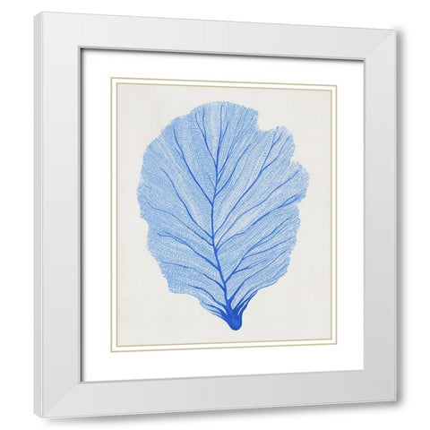 Indigo Sea Fan II White Modern Wood Framed Art Print with Double Matting by OToole, Tim