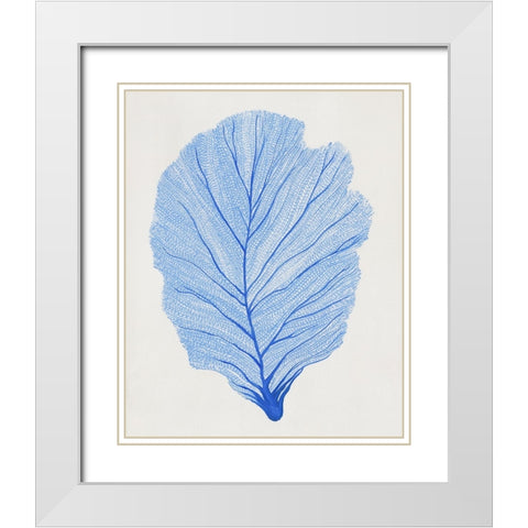 Indigo Sea Fan II White Modern Wood Framed Art Print with Double Matting by OToole, Tim