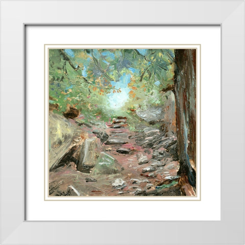 Trail in Woods White Modern Wood Framed Art Print with Double Matting by Iafrate, Sandra