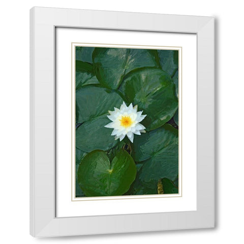 White Lotus White Modern Wood Framed Art Print with Double Matting by Pica, Jeff