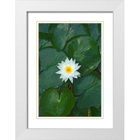 White Lotus White Modern Wood Framed Art Print with Double Matting by Pica, Jeff