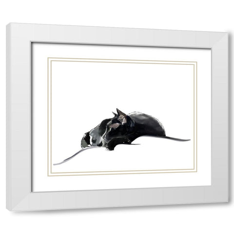 Asher III White Modern Wood Framed Art Print with Double Matting by Kalina, Emily