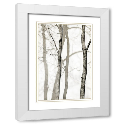 Shadowed Tree Trunks I White Modern Wood Framed Art Print with Double Matting by Aldridge, Ashley