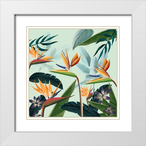Tropical Flowers IV White Modern Wood Framed Art Print with Double Matting by Arctic Frame