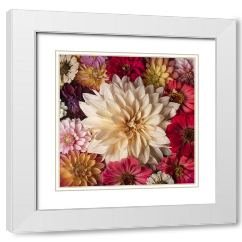 Dahlia Dream Scape  II White Modern Wood Framed Art Print with Double Matting by McLean, Leah