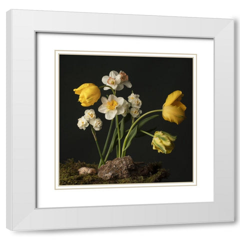 Sunny Spring Bounty  I White Modern Wood Framed Art Print with Double Matting by McLean, Leah