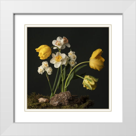 Sunny Spring Bounty  I White Modern Wood Framed Art Print with Double Matting by McLean, Leah