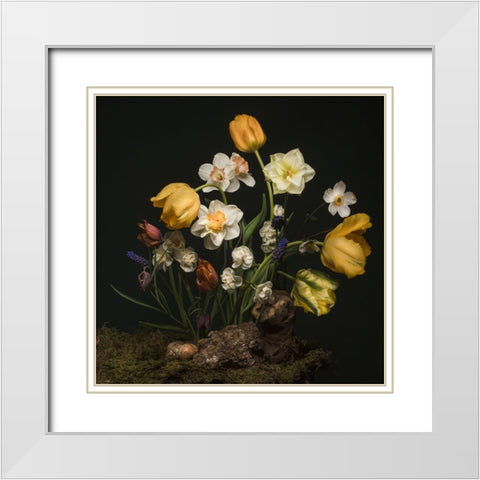 Sunny Spring Bounty  II White Modern Wood Framed Art Print with Double Matting by McLean, Leah