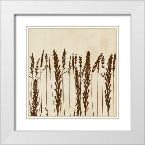 Garden Silhouette LIneup II White Modern Wood Framed Art Print with Double Matting by Vision Studio