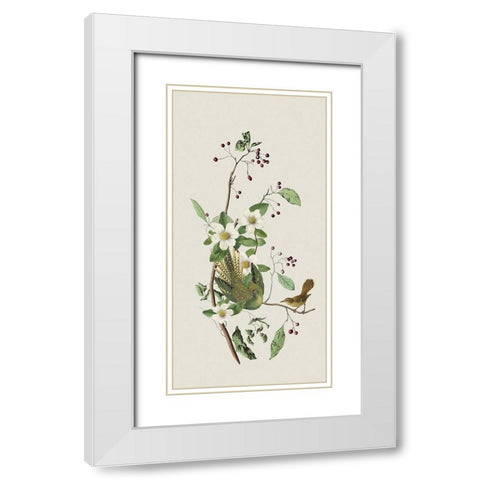 Nostalgic Birds II White Modern Wood Framed Art Print with Double Matting by Haase, Andrea