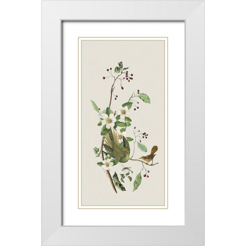 Nostalgic Birds II White Modern Wood Framed Art Print with Double Matting by Haase, Andrea