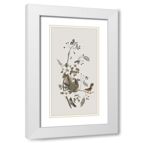 Nostalgic Birds IV White Modern Wood Framed Art Print with Double Matting by Haase, Andrea