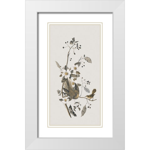 Nostalgic Birds IV White Modern Wood Framed Art Print with Double Matting by Haase, Andrea
