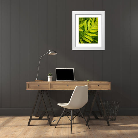 Fern Examination II White Modern Wood Framed Art Print with Double Matting by Head, Danny