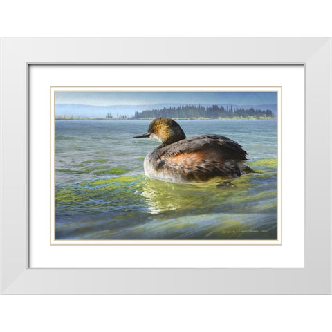 Earred Grebe on Lake White Modern Wood Framed Art Print with Double Matting by Vest, Chris