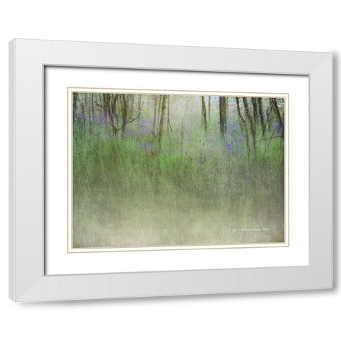 Glimpse of the Lake White Modern Wood Framed Art Print with Double Matting by Vest, Chris