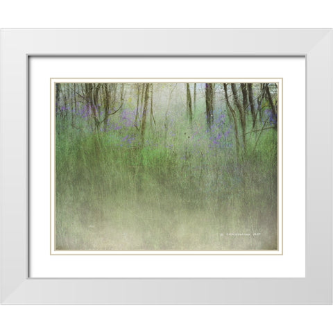 Glimpse of the Lake White Modern Wood Framed Art Print with Double Matting by Vest, Chris