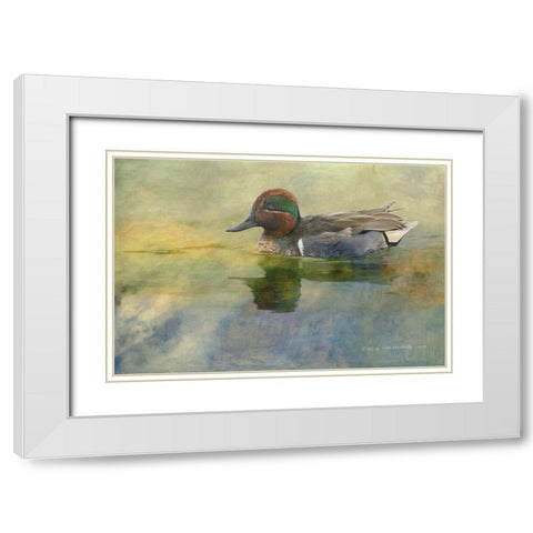 Green Teal Drake White Modern Wood Framed Art Print with Double Matting by Vest, Chris