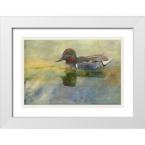 Green Teal Drake White Modern Wood Framed Art Print with Double Matting by Vest, Chris