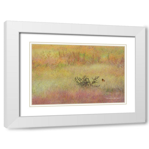 Koshia in Muhly Grass White Modern Wood Framed Art Print with Double Matting by Vest, Chris